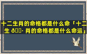 十二生肖的命格都是什么命「十二生 🌷 肖的命格都是什么命运」